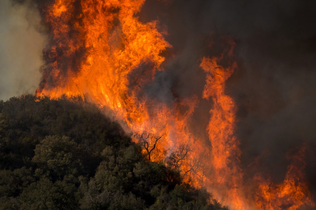 Hattian Bala Intensification of forest fire, forest department silent