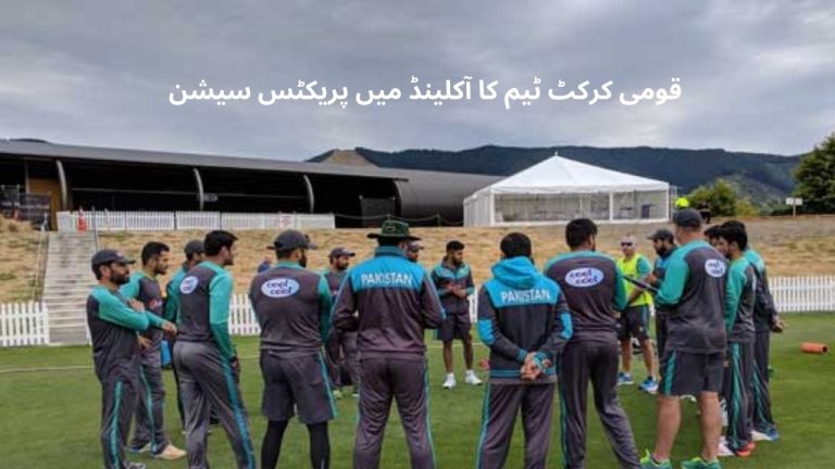 National cricket team practice session in Auckland