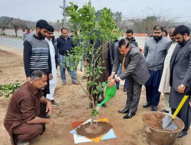 Large scale spring plantation drive launched in Mirpur Division