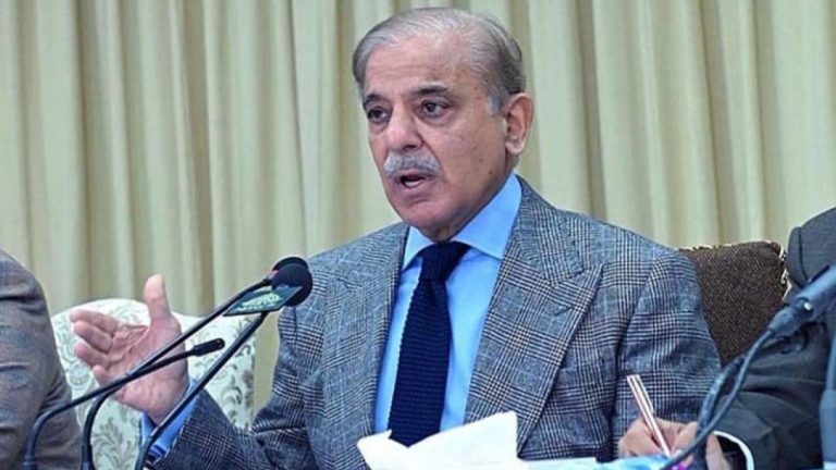 وزیراعظم شہباز شریف نے ہفتہ کو اکنامک ایڈوائزری کونسل (ای اے سی) تشکیل دے دی۔