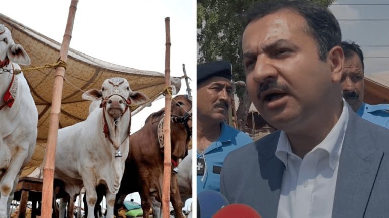 DC Islamabad visits cattle market, assures tight security