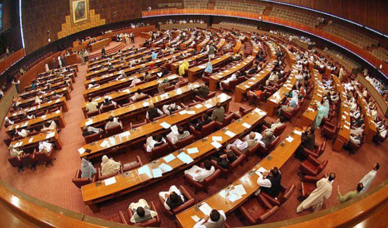 Fafan's report on the performance of the first 100 days of the National Assembly continues