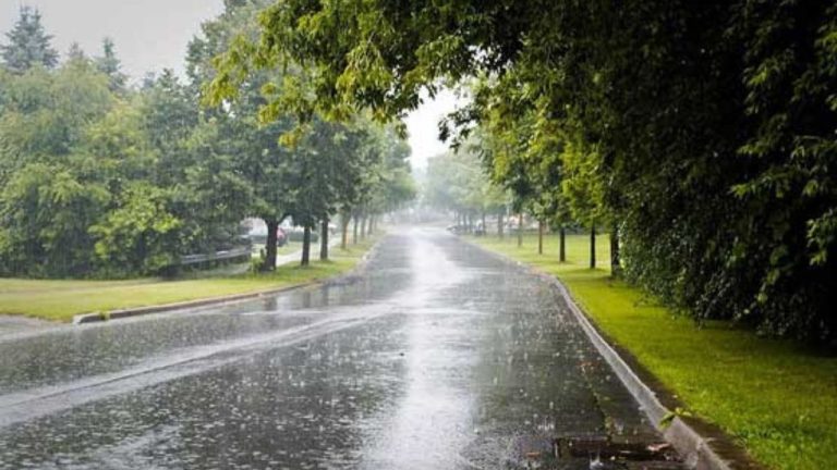 Torrential rains fell in Islamabad