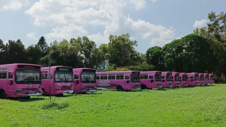 When will the free pink bus service for women officially start in Islamabad