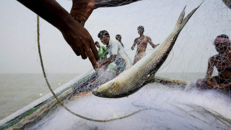 Why were fishermen prohibited from fishing in the sea