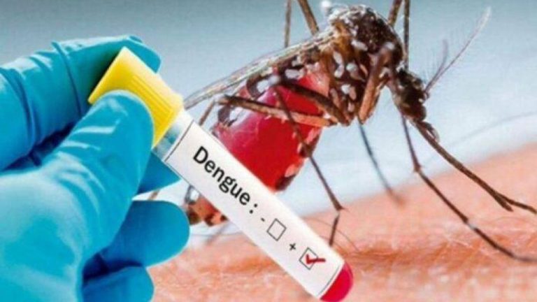 17 more dengue cases reported in Punjab in 24 hours