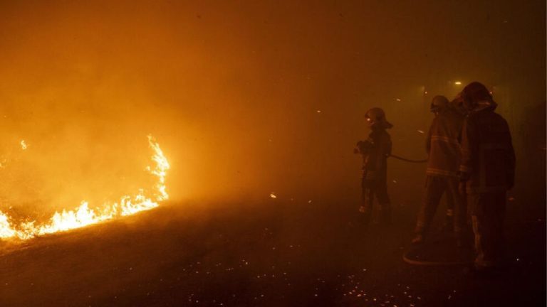 A forest fire in Portugal has claimed the lives of seven people