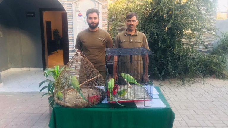 Action of Police Animal Rescue Center Rawalpindi, two suspects arrested