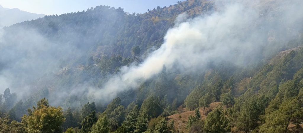 The fire in the Dakhin Sayedan ​​forest spread