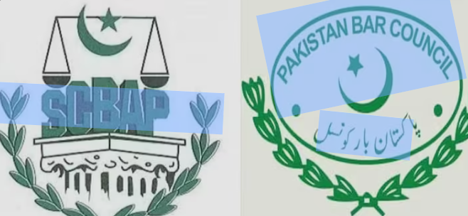 سینئر وکلا نے 27 ویں آئینی ترمیم کی حمایت کا اعلان کردیا، مشترکہ اعلامیہ جاری Senior lawyers announce support for 27th Constitutional Amendment, issue joint statement