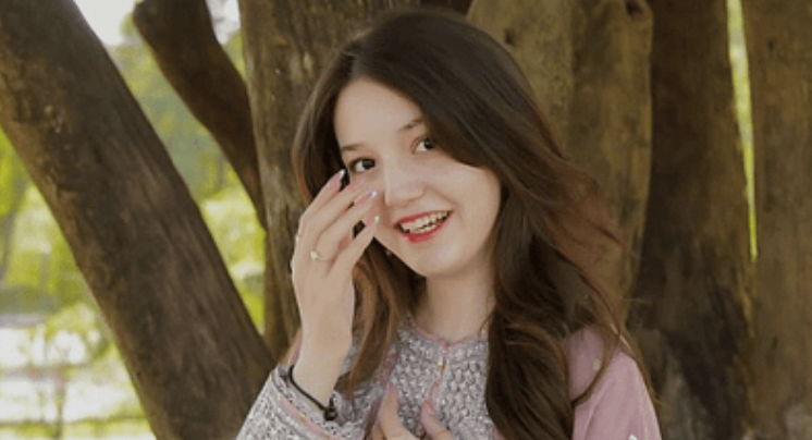 ثناء یوسف قتل کیس میں مزید دو گواہان کے بیانات ریکارڈ، ملزم پر فرد جرم بھی عائد Statements of two more witnesses recorded in Sana Yousaf murder case, accused indicted