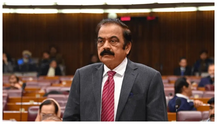 چار ماہ کی غفلت والی بات بے بنیاد ہے، عمران خان کی صحت پر سیاست نہ کی جائے: وزیراعظم کے مشیر برائے سیاسی امور رانا ثنااللہ