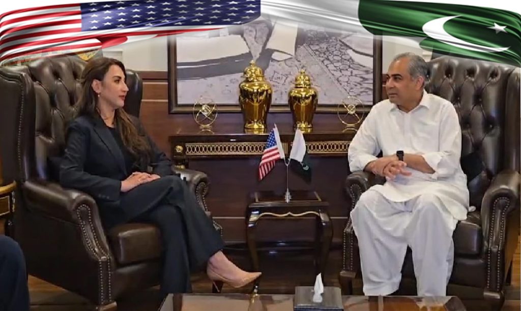 وفاقی وزیر داخلہ محسن نقوی سے امریکی سفیر کی ملاقات، اسلام آباد مذاکرات کے انتظامات پر بات چیت