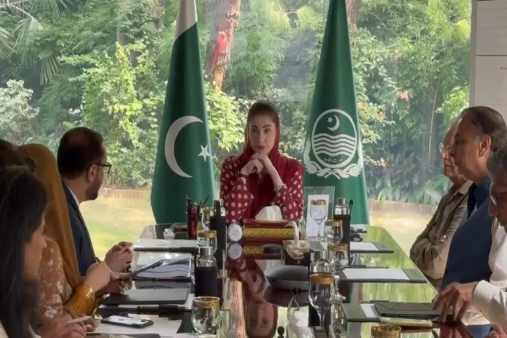 پنجاب کے ہر ڈویژن میں سٹروک سینٹر قائم کرنے کا فیصلہ