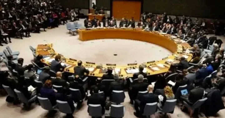 پاکستان نے سلامتی کونسل میں ویٹو پاور کے استعمال میں توسیع کی مخالفت کردی Pakistan has opposed the expansion of the use of veto power in the Security Council.